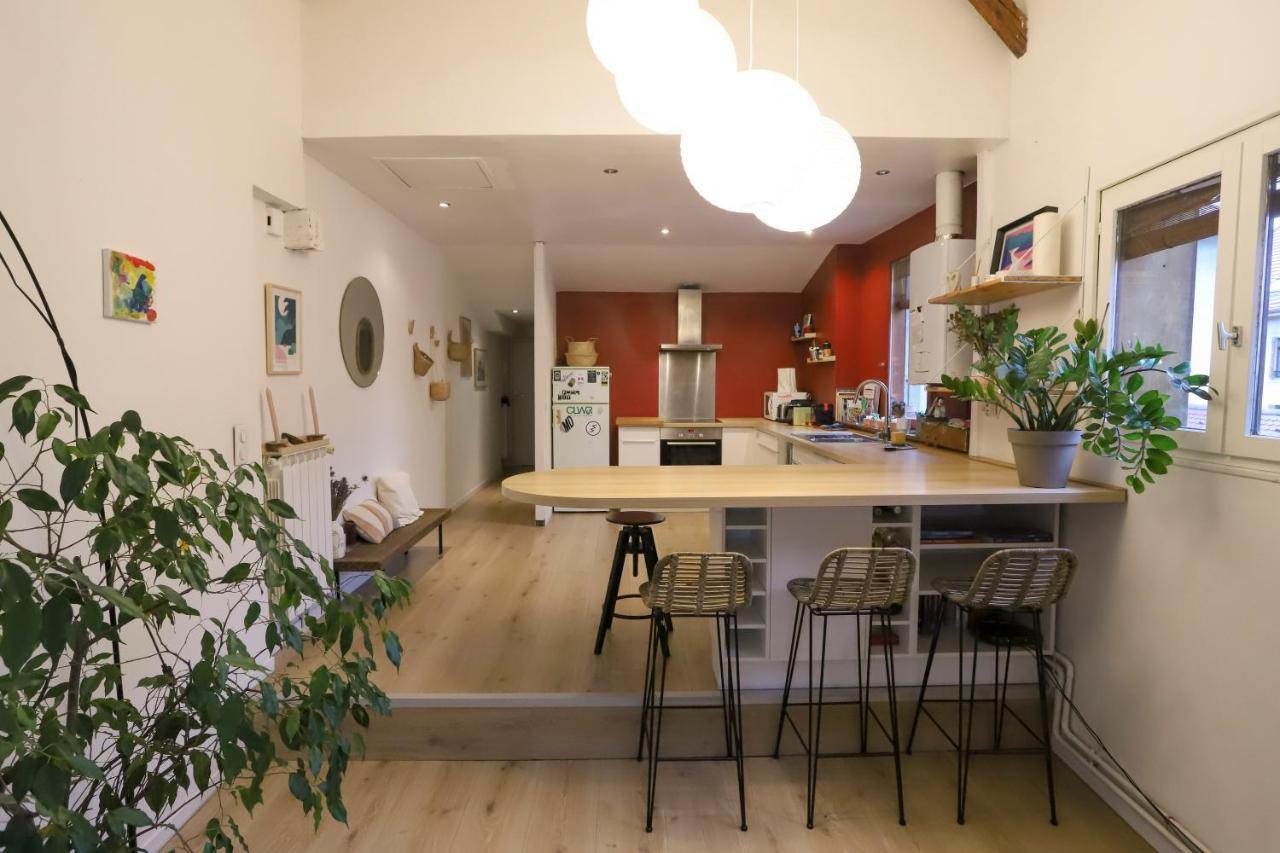 Petit-Coeur Charmant En Centre Ville Apartment Annecy Ngoại thất bức ảnh