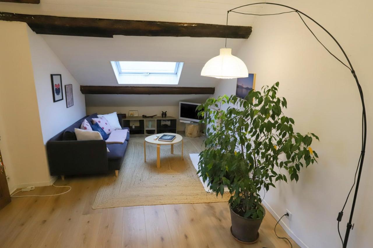 Petit-Coeur Charmant En Centre Ville Apartment Annecy Ngoại thất bức ảnh