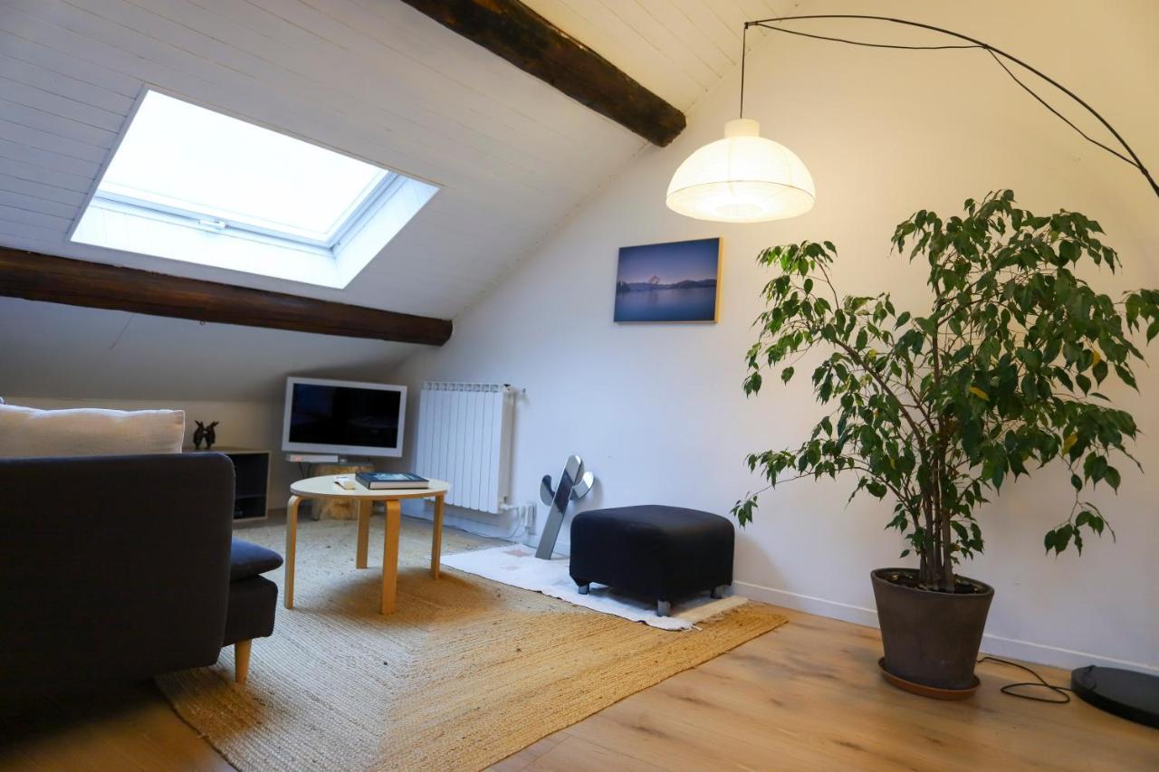 Petit-Coeur Charmant En Centre Ville Apartment Annecy Ngoại thất bức ảnh