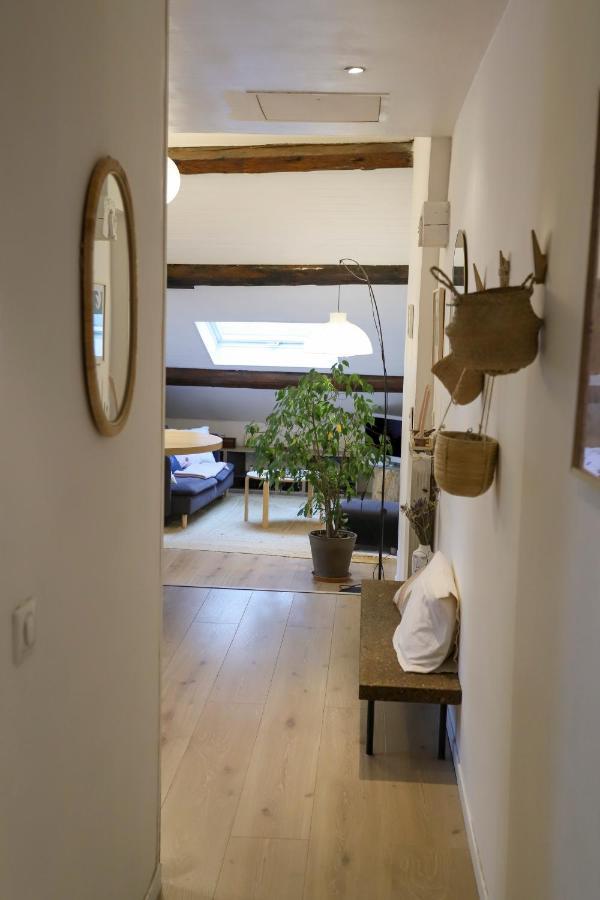 Petit-Coeur Charmant En Centre Ville Apartment Annecy Ngoại thất bức ảnh