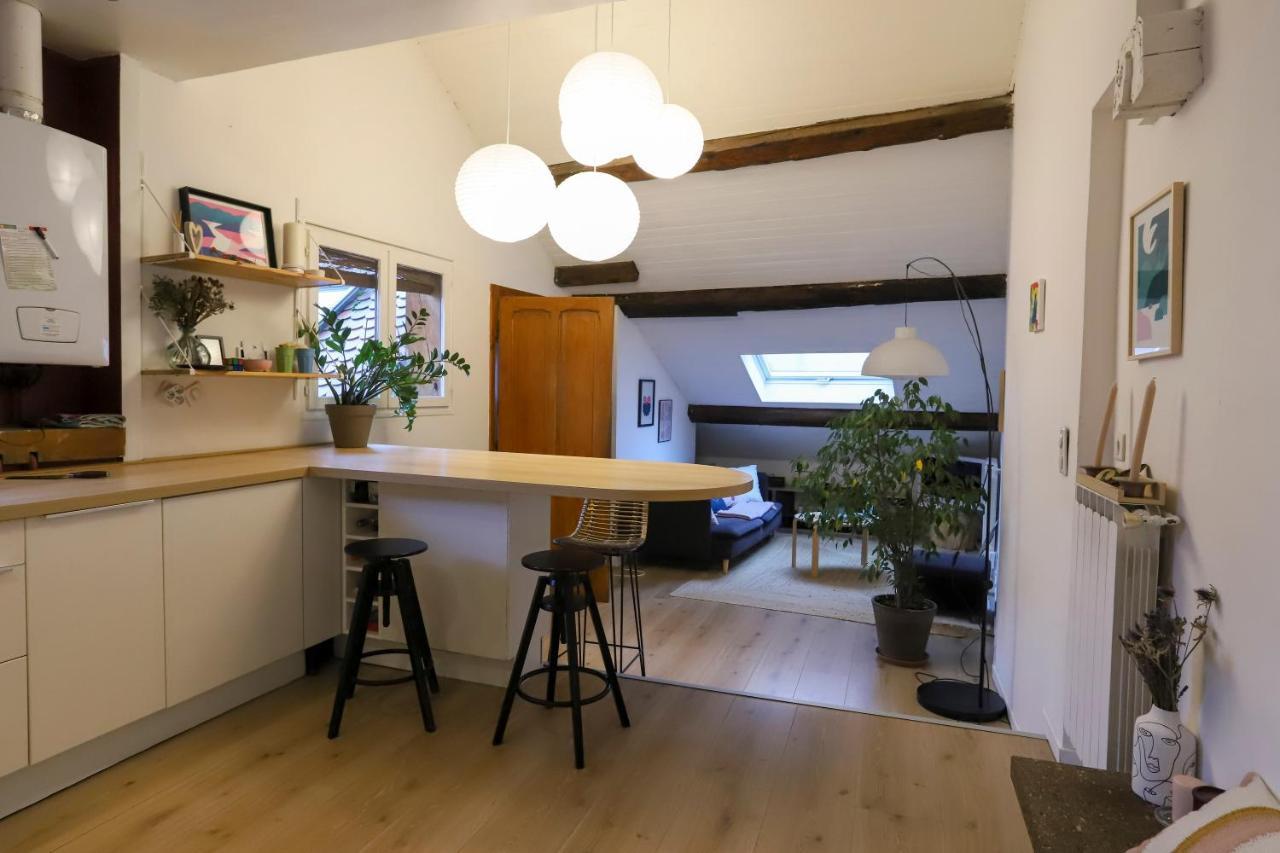 Petit-Coeur Charmant En Centre Ville Apartment Annecy Ngoại thất bức ảnh