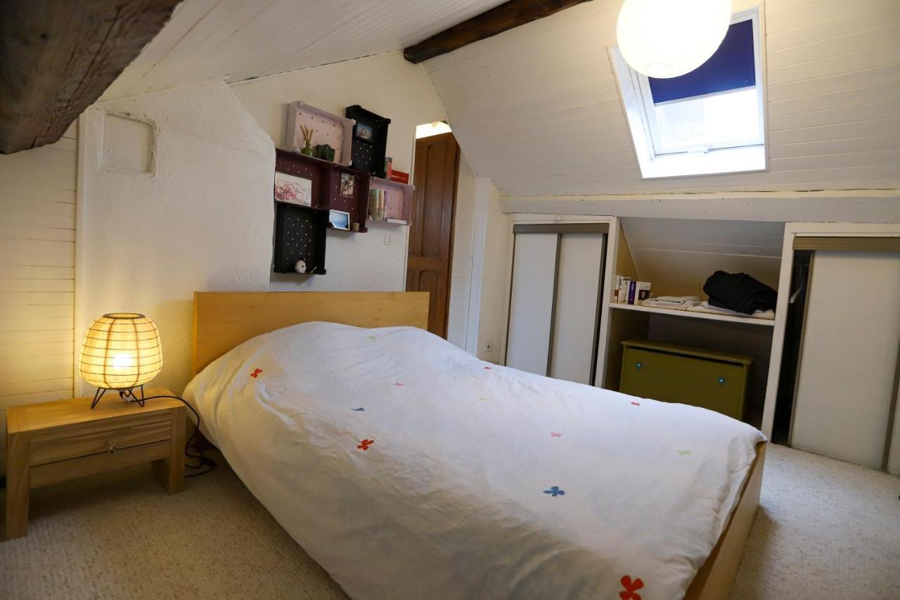 Petit-Coeur Charmant En Centre Ville Apartment Annecy Ngoại thất bức ảnh