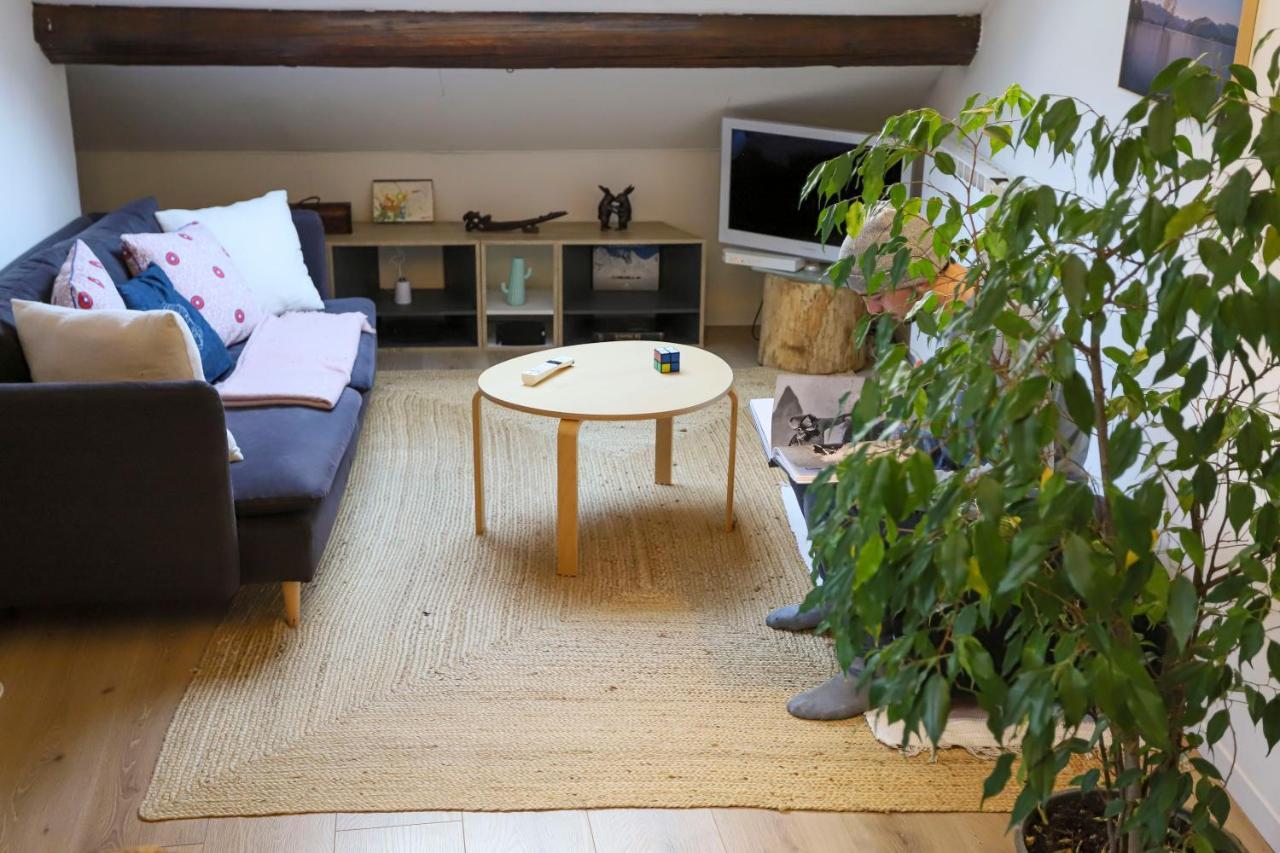 Petit-Coeur Charmant En Centre Ville Apartment Annecy Ngoại thất bức ảnh