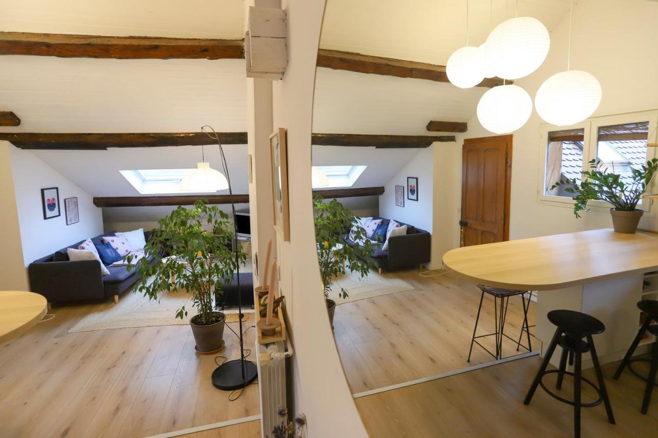 Petit-Coeur Charmant En Centre Ville Apartment Annecy Ngoại thất bức ảnh