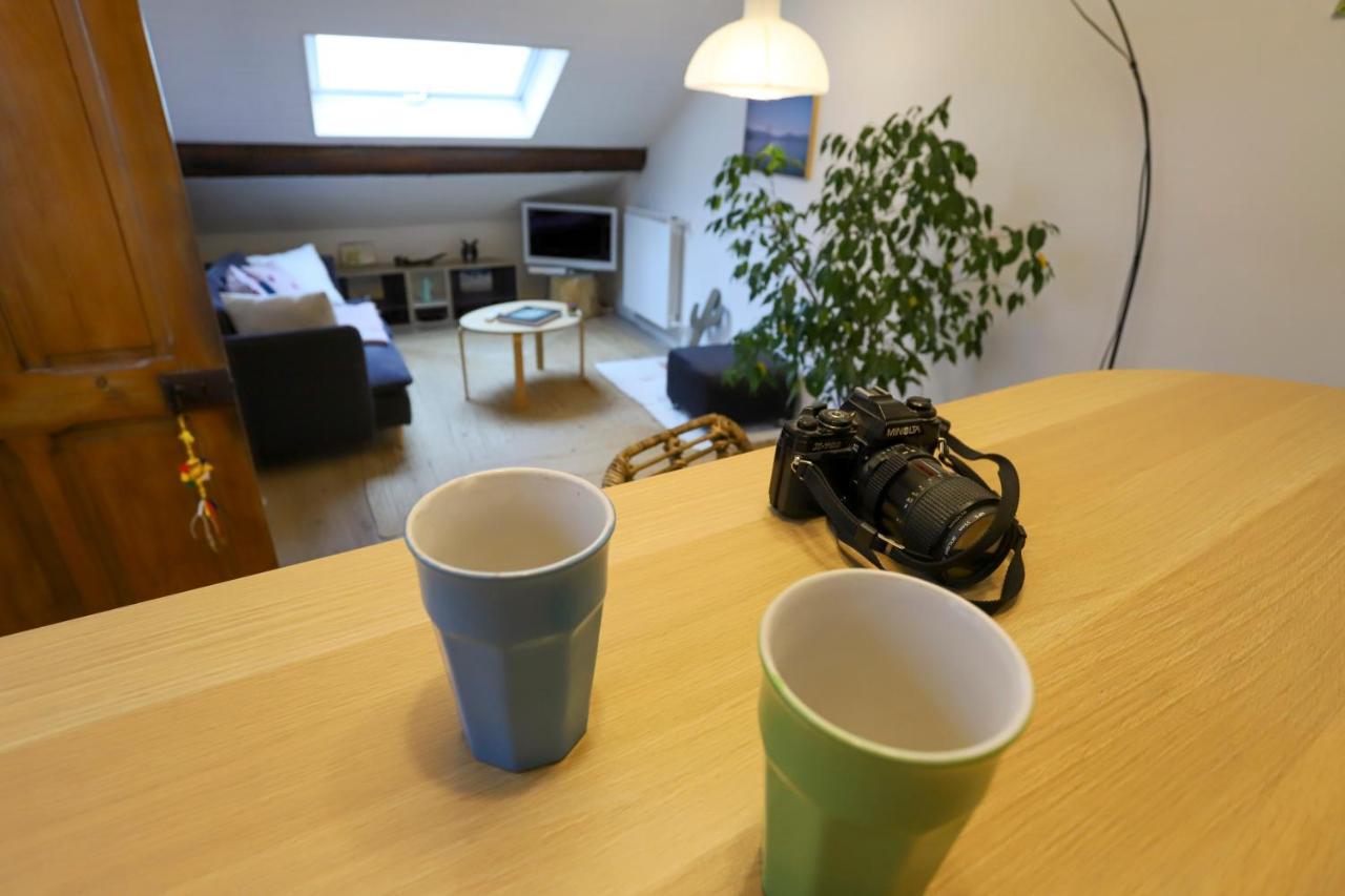 Petit-Coeur Charmant En Centre Ville Apartment Annecy Ngoại thất bức ảnh